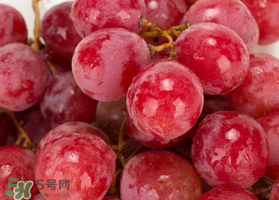 提子什么季節(jié)成熟？提子什么時(shí)候上市？