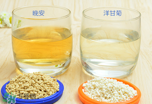 美林菊花晶一天喝幾次？美林菊花晶一天喝多少？