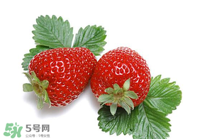 夏天有草莓嗎？夏天草莓結(jié)果嗎？