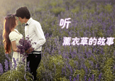 六月份還有薰衣草嗎？6月份哪里有薰衣草？