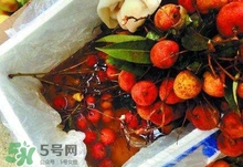 荔枝為什么要用藥水泡？荔枝藥水浸泡是否安全？