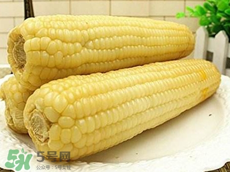 糯玉米有哪些營養(yǎng)？糯玉米可以減肥嗎