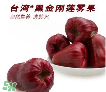 黑珍珠蓮霧多少錢一斤2017？黑珍珠蓮霧產地是哪里