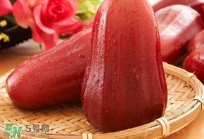 蓮霧什么季節(jié)吃最好？什么品種的蓮霧最好吃