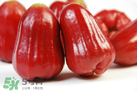 黑珍珠蓮霧多少錢一斤2017？黑珍珠蓮霧產地是哪里