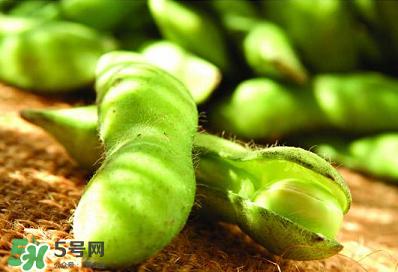 六月份可以種毛豆嗎？六月份毛豆怎么種植？
