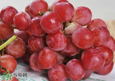 提子為什么會(huì)澀？提子澀怎么辦是沒熟嗎？