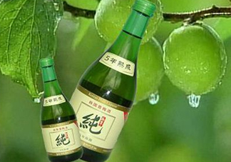 青梅酒泡多久可以喝？青梅酒好喝嗎？