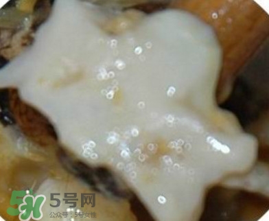 面包蟹是哪里產的？面包蟹哪里不能吃圖解