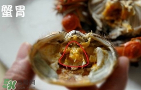 面包蟹是哪里產的？面包蟹哪里不能吃圖解