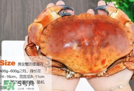 速凍面包蟹如何處理？活面包蟹怎么處理清洗
