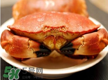 熟凍面包蟹怎么解凍？熟凍面包蟹要怎么清洗