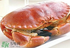 熟凍面包蟹蒸多長(zhǎng)時(shí)間？熟凍面包蟹煮多長(zhǎng)時(shí)間