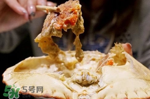 面包蟹什么季節(jié)吃最好？面包蟹什么時(shí)候最有黃