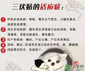 三伏貼能治什么??？三伏貼能治哪些?。?></p><h3 style=