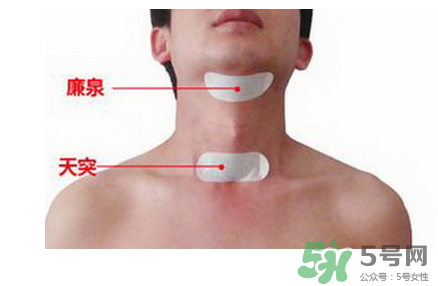三伏貼貼在什么位置？三伏貼貼哪里？