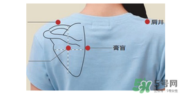 三伏貼貼在什么位置？三伏貼貼哪里？