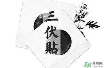 貼三伏貼注意事項(xiàng) 貼三伏貼要注意什么？