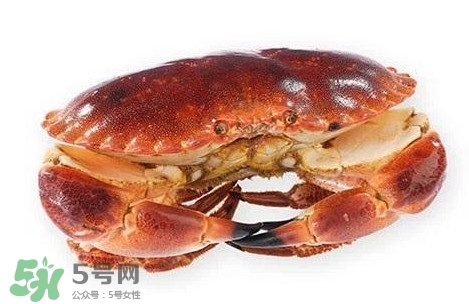 怎么判斷面包蟹是否新鮮？怎樣鑒別面包蟹的質(zhì)量好壞
