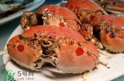面包蟹什么季節(jié)吃最好？面包蟹什么時(shí)候最有黃