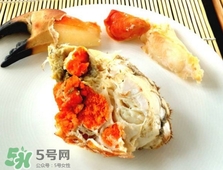面包蟹是黃道蟹嗎？黃道蟹和面包蟹一樣嗎