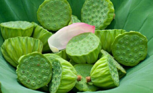 新鮮蓮子什么時(shí)候有？新鮮蓮子幾月有？