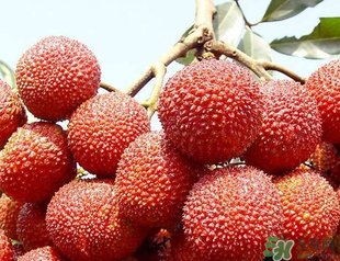 荔枝吃多了會(huì)胖嗎？吃荔枝會(huì)長胖嗎？