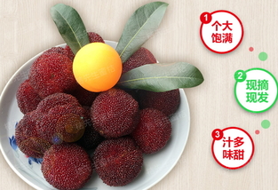 楊梅泡酒能放多久？楊梅酒保質(zhì)期