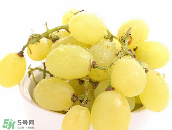 馬奶葡萄什么時候上市？馬奶葡萄2017上市時間