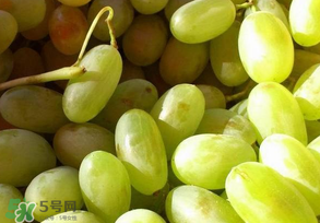 馬奶葡萄怎么保存？馬奶葡萄保存方法