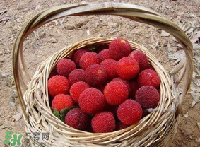 煮楊梅汁需要煮多長(zhǎng)時(shí)間？楊梅汁怎么煮？