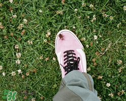 stussy與vans2017春夏系列聯(lián)名鞋子什么時(shí)候發(fā)售？
