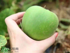 梨瓜是熱性還是涼性？梨瓜是酸性還是堿性？