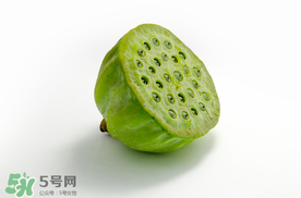 蓮蓬什么時候成熟？蓮蓬什么時候上市？