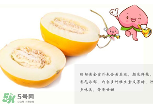 黃金瓜熱量高嗎？黃金瓜會(huì)胖嗎？