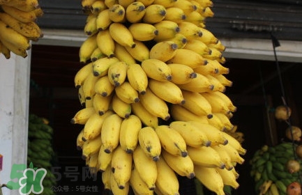 芭蕉不熟可以吃嗎？芭蕉怎么催熟