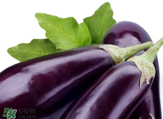 茄子怎么挑選？如何挑選茄子？