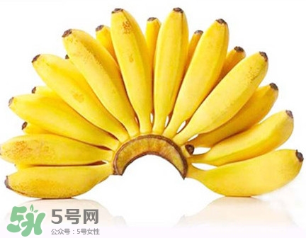 芭蕉是香蕉嗎？芭蕉和香蕉的區(qū)別