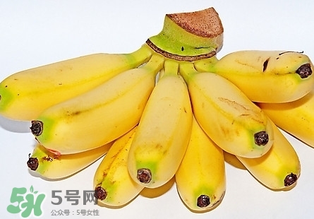 芭蕉熱量高嗎？芭蕉可以減肥嗎