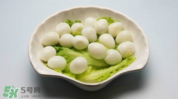 鵪鶉蛋和雞蛋哪個(gè)營(yíng)養(yǎng)價(jià)值高？鵪鶉蛋怎么選購(gòu)？
