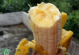 芭蕉是堿性還是酸性？芭蕉是什么季節(jié)的水果