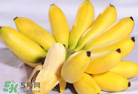 芭蕉是熱性還是涼性？芭蕉是熱性還是寒性？