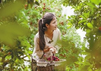 仙居楊梅在哪里？仙居楊梅哪里最好？