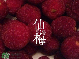 仙居楊梅多少錢(qián)一斤？仙居楊梅多少錢(qián)一斤2017？