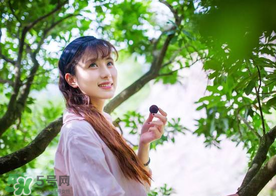 仙居楊梅在哪里？仙居楊梅哪里最好？
