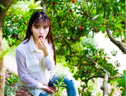 仙居楊梅在哪里？仙居楊梅哪里最好？