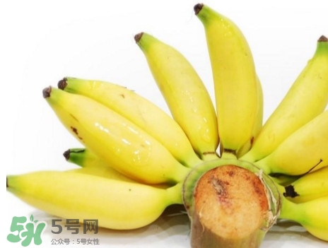 皇帝蕉是轉(zhuǎn)基因的嗎？皇帝蕉產(chǎn)地是哪里？