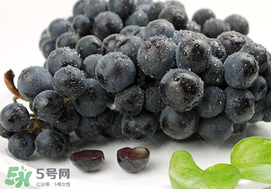 無(wú)籽葡萄有哪些品種？無(wú)籽葡萄多少錢(qián)一斤？