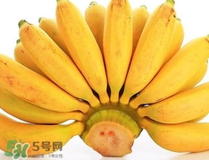 皇帝蕉是不是香蕉？皇帝蕉與普通香蕉區(qū)別