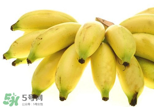 帝王蕉是芭蕉嗎？帝王蕉和芭蕉的區(qū)別